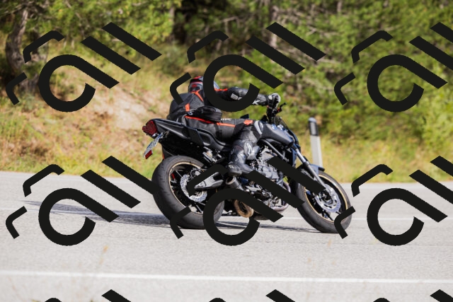 202509271454-_04A0278_c3