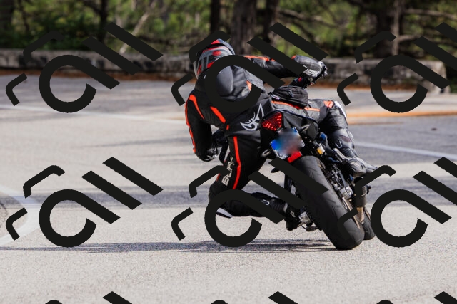 202509271454-_04A0281_c3