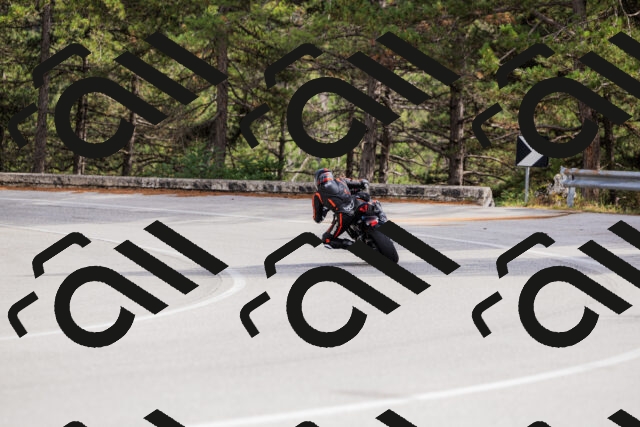 202509271454-_04A0283_c3