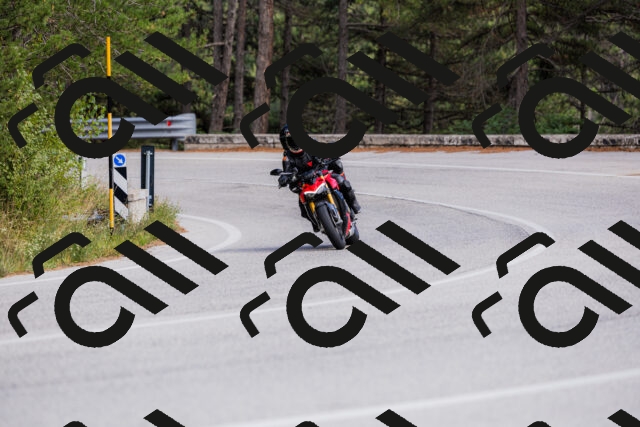 202509271455-_04A0285_c3