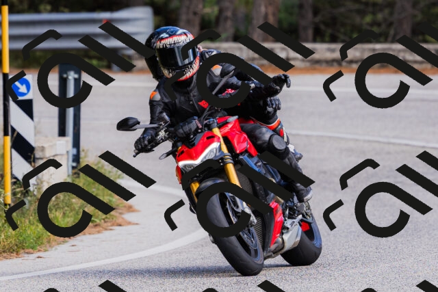 202509271455-_04A0286_c3