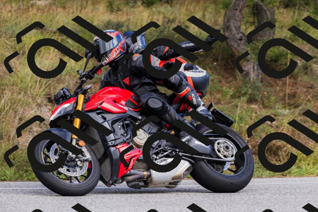 202509271455-_04A0289_c3