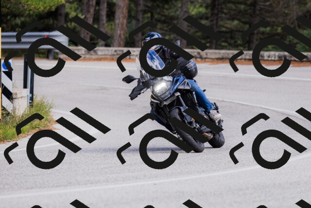 202509271456-_04A0300_c3