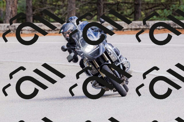 202509271459-_04A0307_c3