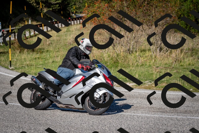 202509271100-DSC_6332_c2