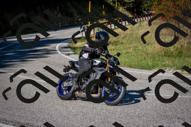 202509271106-DSC_6337_c2