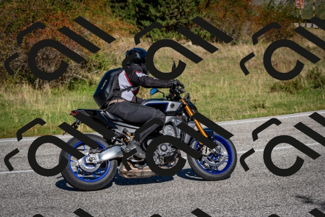 202509271106-DSC_6338_c2