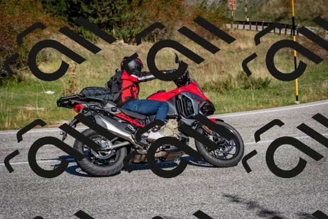 202509271106-DSC_6344_c2