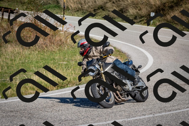 202509271110-DSC_6355_c2