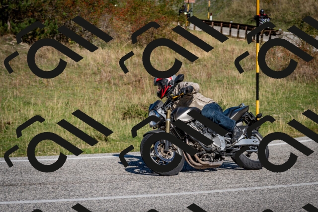 202509271110-DSC_6356_c2