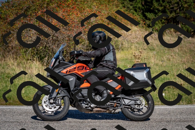 202509271110-DSC_6370_c2