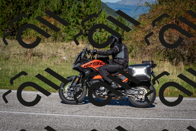 202509271110-DSC_6371_c2