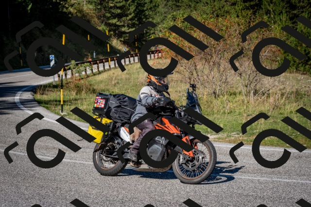 202509271113-DSC_6388_c2