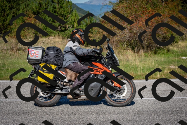 202509271113-DSC_6389_c2