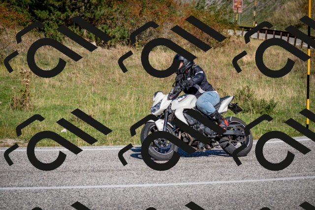 202509271117-DSC_6401_c2