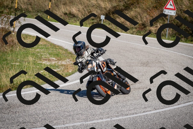 202509271118-DSC_6406_c2