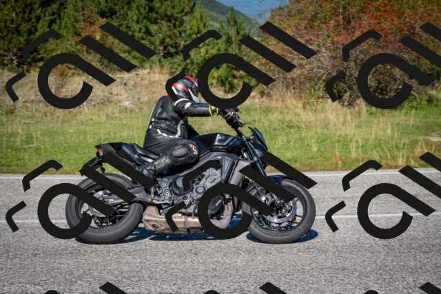 202509271124-DSC_6440_c2