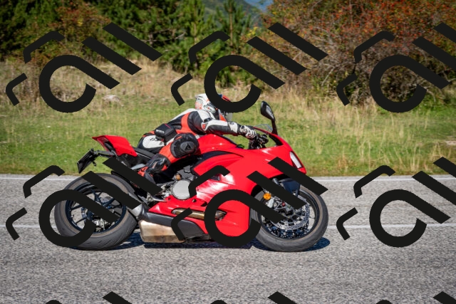 202509271124-DSC_6443_c2