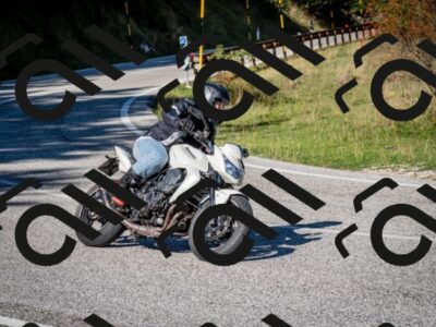 202509271124-DSC_6444_c2