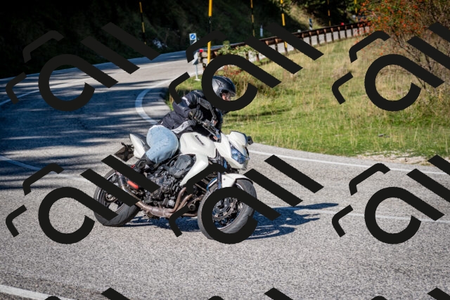 202509271124-DSC_6444_c2