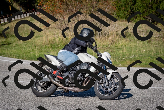 202509271124-DSC_6445_c2