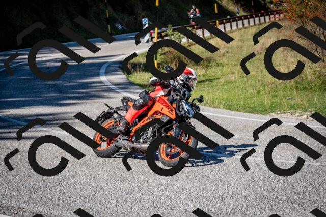 202509271125-DSC_6448_c2