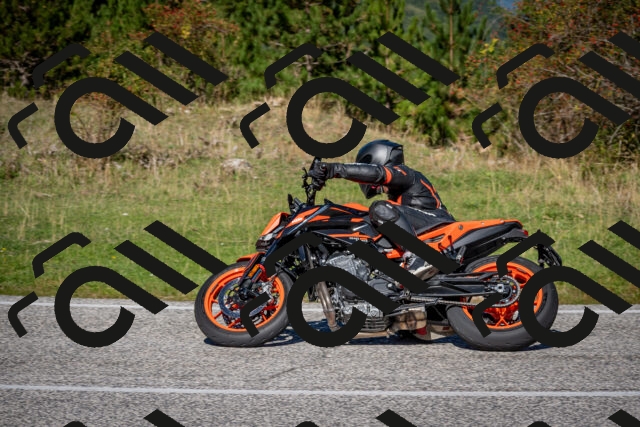 202509271126-DSC_6463_c2