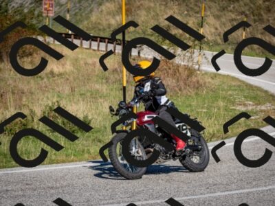 202509271132-DSC_6488_c2