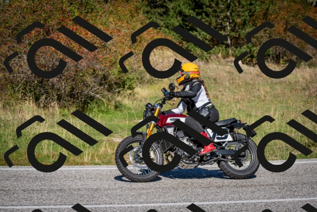 202509271132-DSC_6490_c2