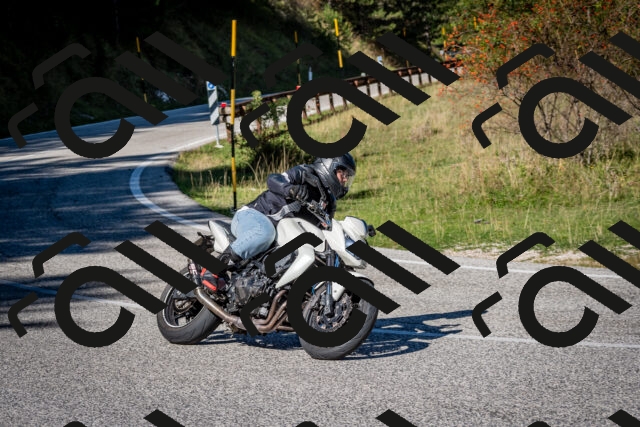 202509271133-DSC_6498_c2