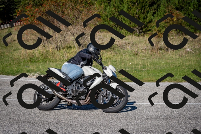 202509271133-DSC_6499_c2