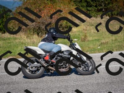 202509271133-DSC_6500_c2