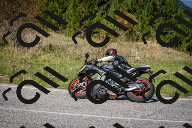 202509271135-DSC_6514_c2