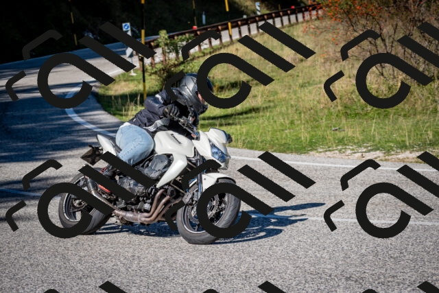 202509271135-DSC_6515_c2