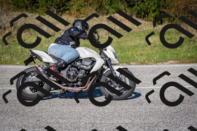 202509271135-DSC_6516_c2