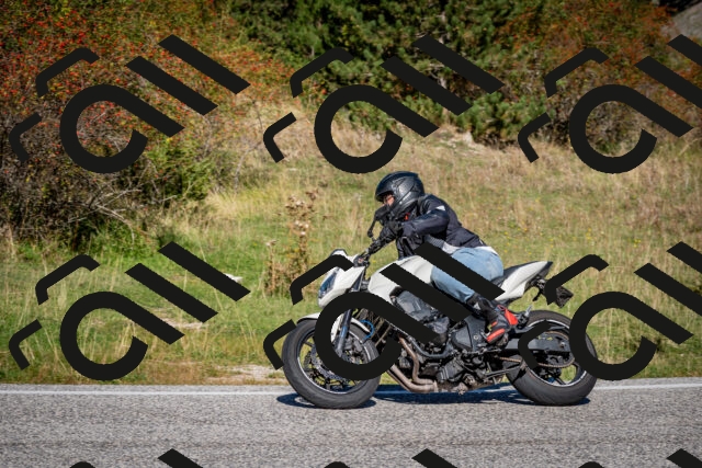 202509271137-DSC_6521_c2