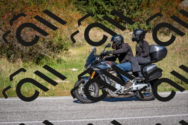 202509271137-DSC_6523_c2