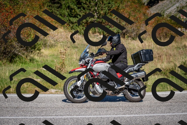 202509271137-DSC_6525_c2