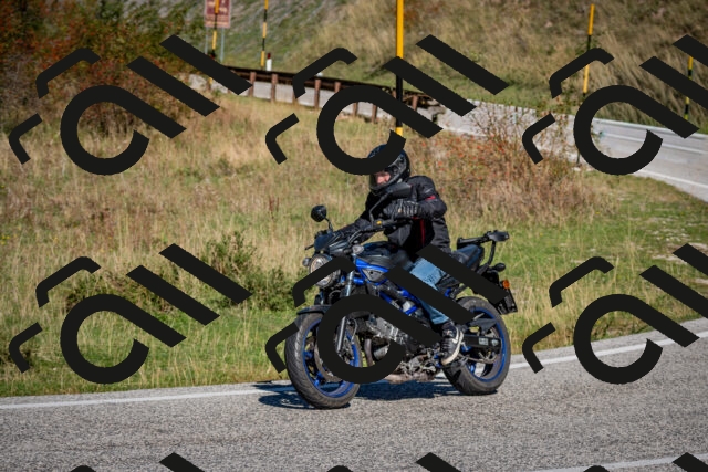 202509271137-DSC_6528_c2