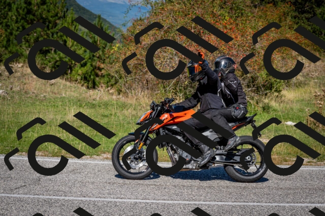 202509271137-DSC_6542_c2