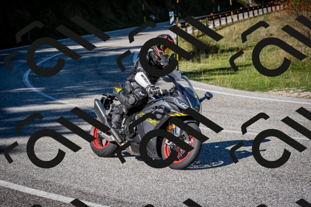 202509271138-DSC_6545_c2