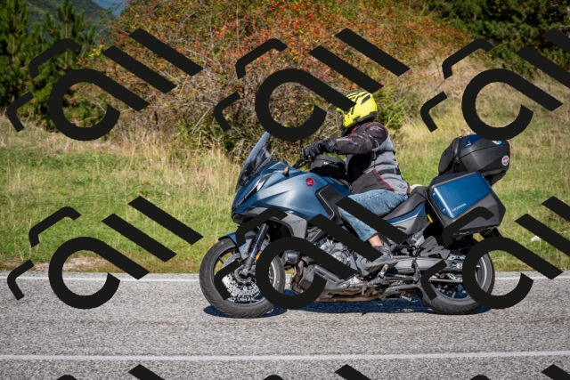 202509271138-DSC_6549_c2