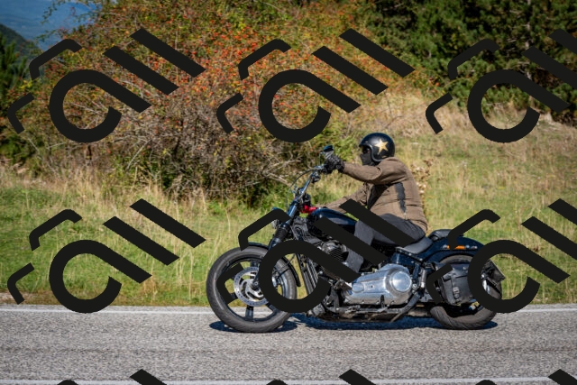 202509271139-DSC_6554_c2