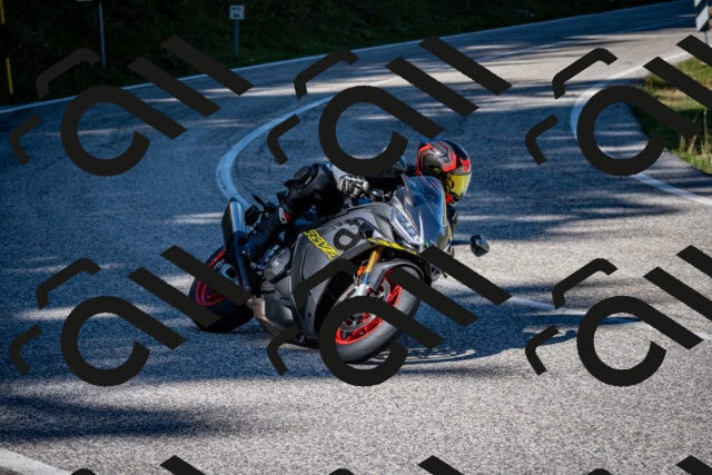 202509271142-DSC_6566_c2