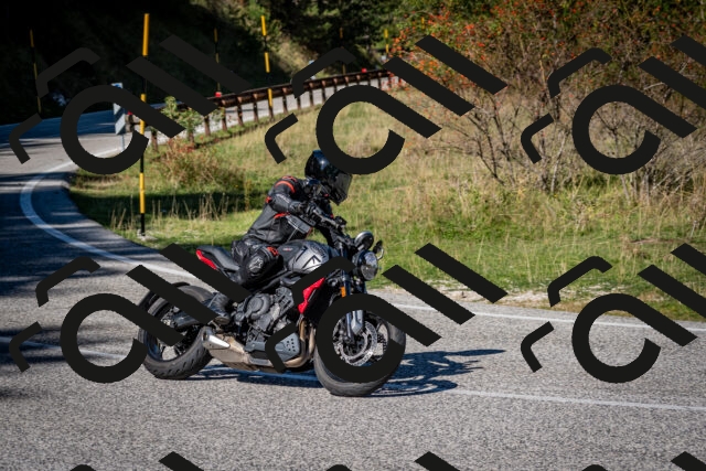 202509271143-DSC_6573_c2