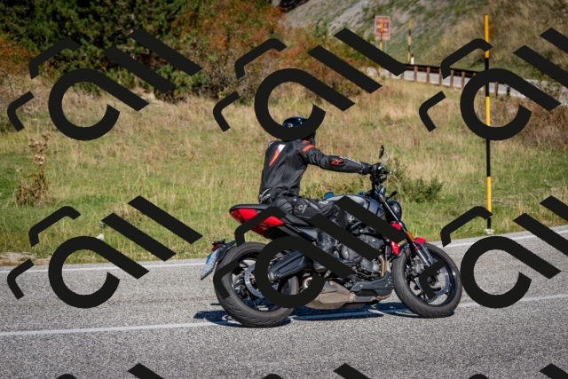 202509271143-DSC_6576_c2