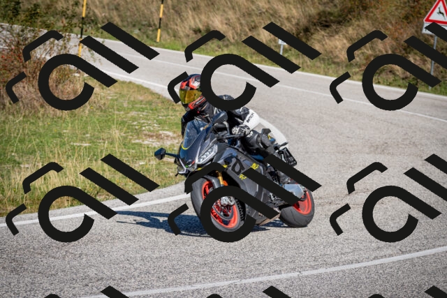 202509271143-DSC_6577_c2