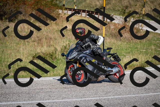 202509271143-DSC_6578_c2