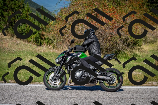 202509271147-DSC_6596_c2