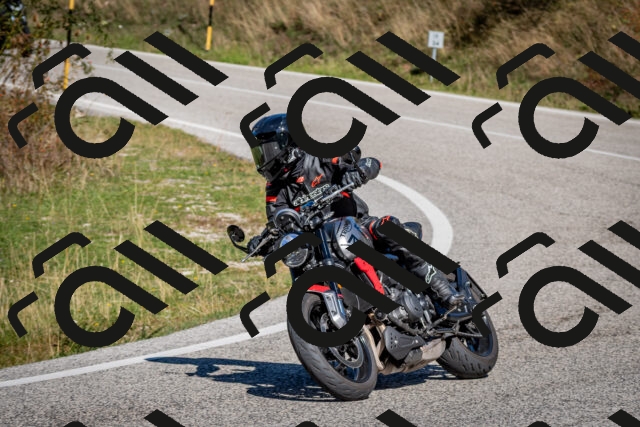 202509271150-DSC_6612_c2